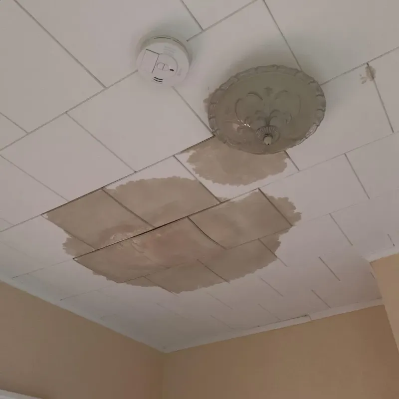 Ceiling Water Damage Repair in Oswego County, NY